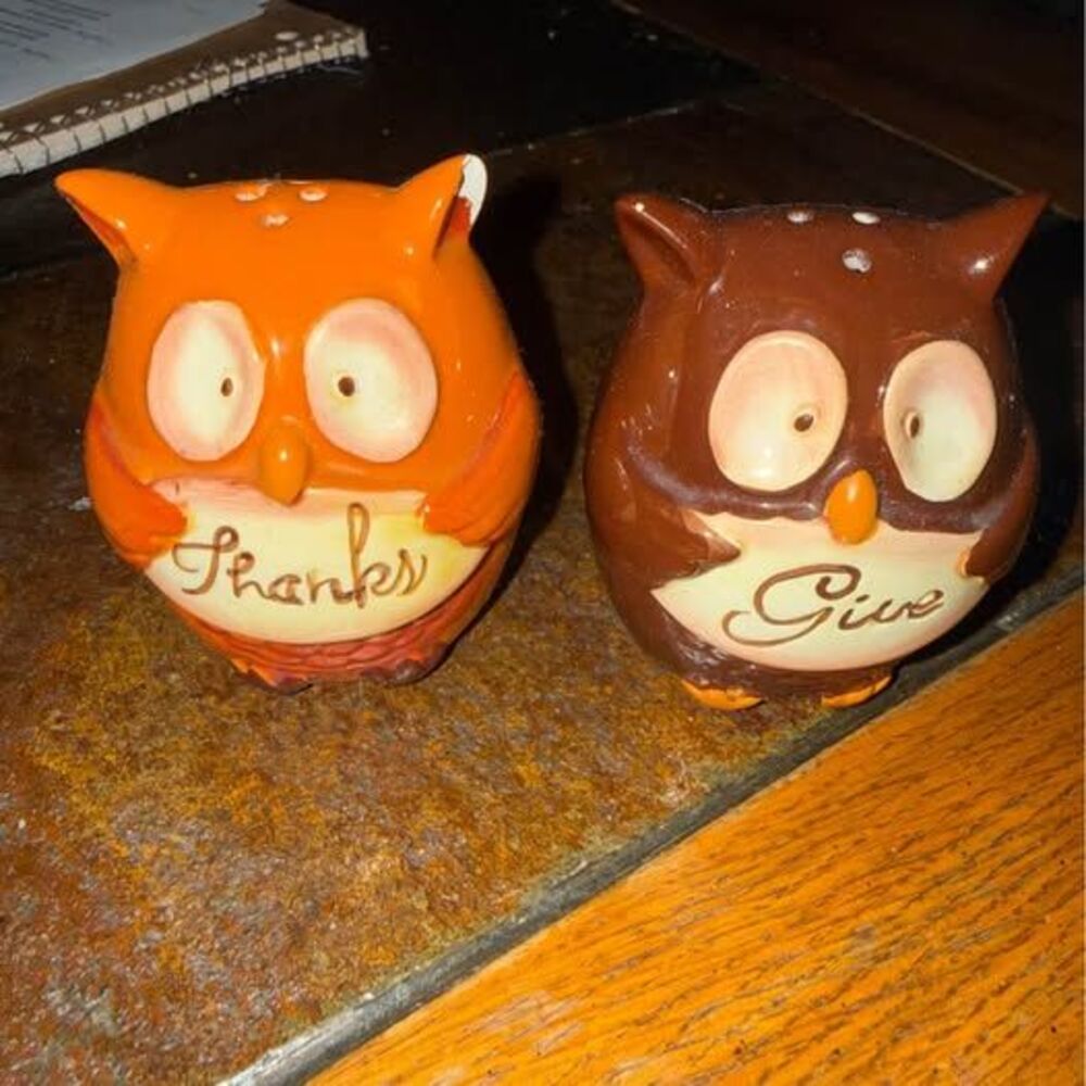 Owl Salt and Pepper Shaker Set